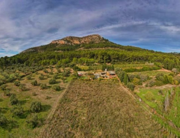 Finca rústica en venta en camino de les Dunes a Sobrestany s/n