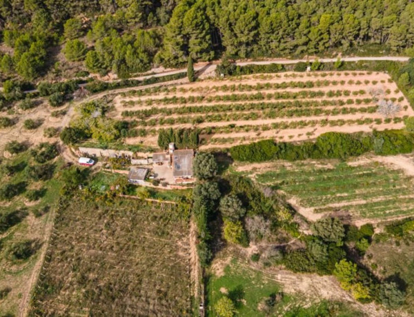 Finca rústica en venta en camino de les Dunes a Sobrestany s/n