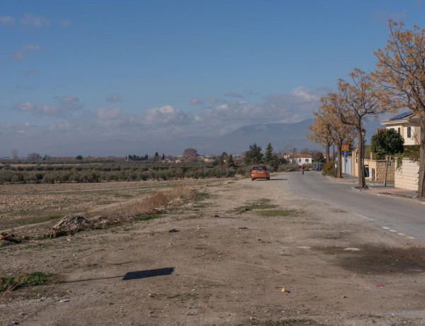 Terreno en venta en calle Geraneo