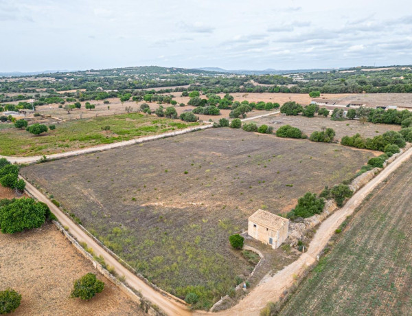 Terreno en venta en Manacor Centro