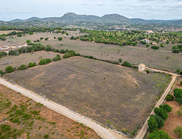 Terreno en venta en Manacor Centro