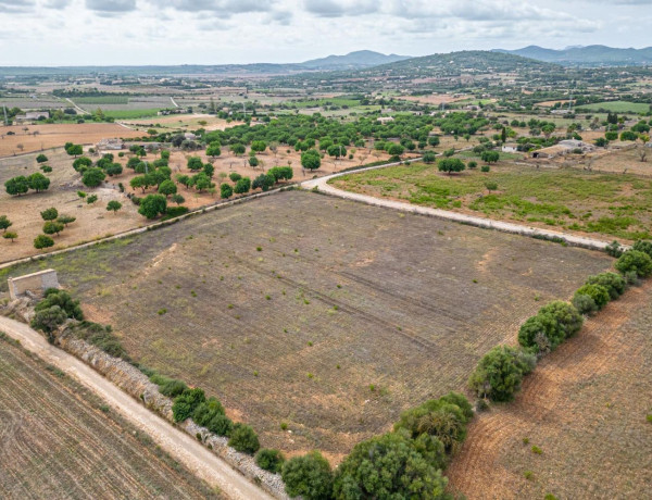 Terreno en venta en Manacor Centro