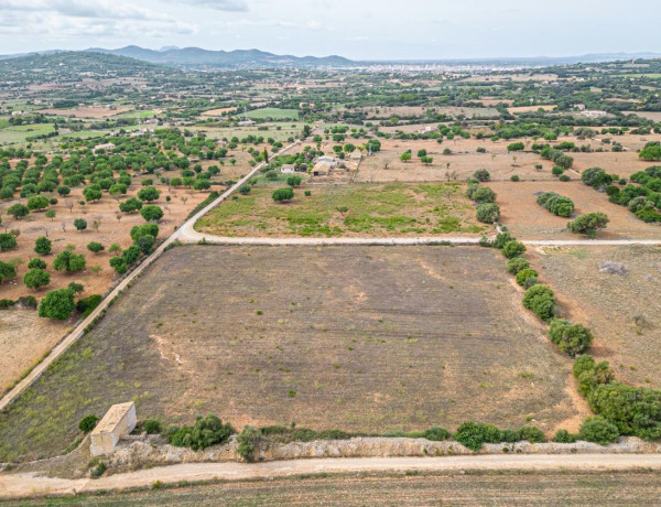 Terreno en venta en Manacor Centro