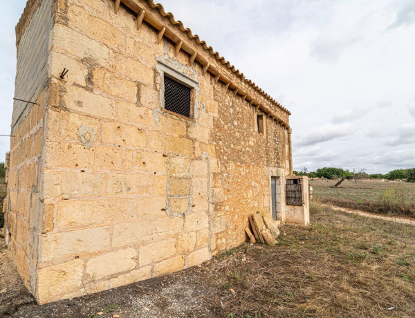 Terreno en venta en Manacor Centro