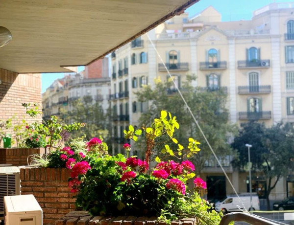 Alquiler de Piso en calle de Bailèn