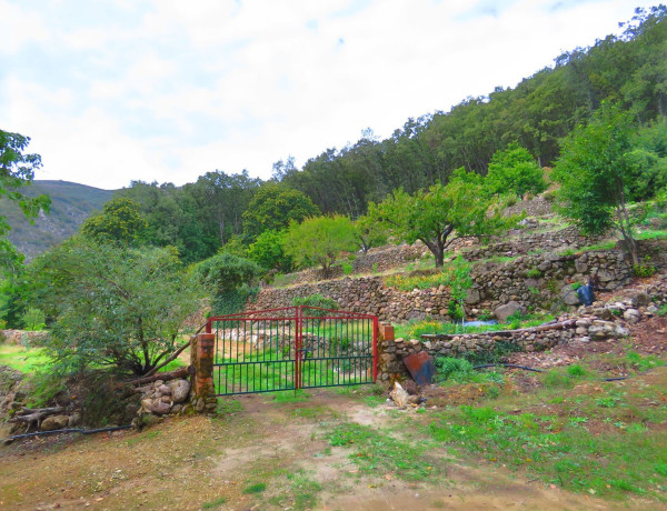 Finca rústica en venta en plaza Garganta la Olla, 1