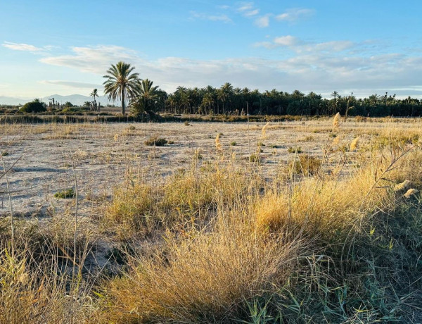 Terreno en venta en La Hoya-Daimes-El Derramador