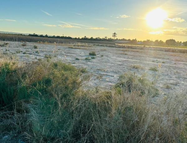 Terreno en venta en La Hoya-Daimes-El Derramador