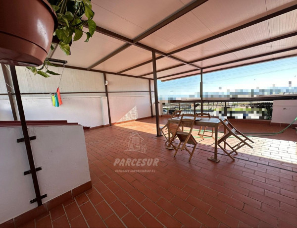 Casa o chalet independiente en venta en El Higuerón