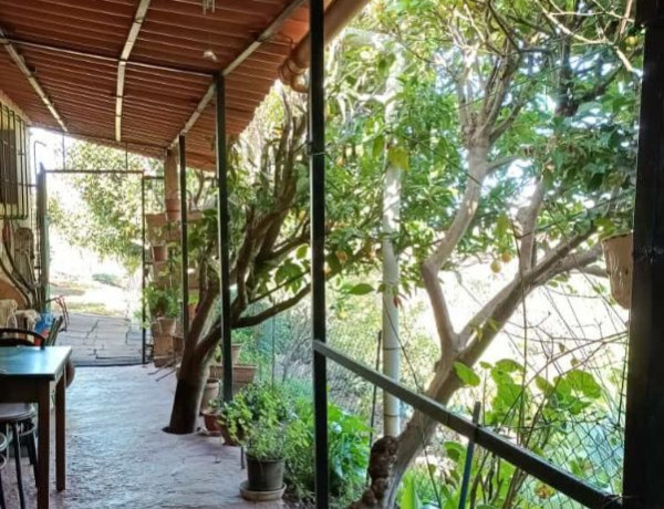 Finca rústica en venta en Hoya Del Pedregal