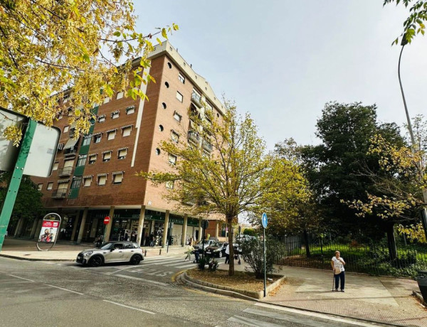 Alquiler de Piso en calle Pintor Manuel Maldonado