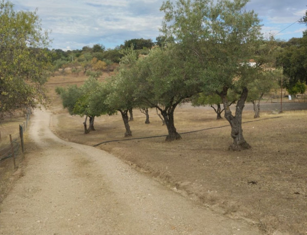 Terreno en venta en carretera de la vega s/n