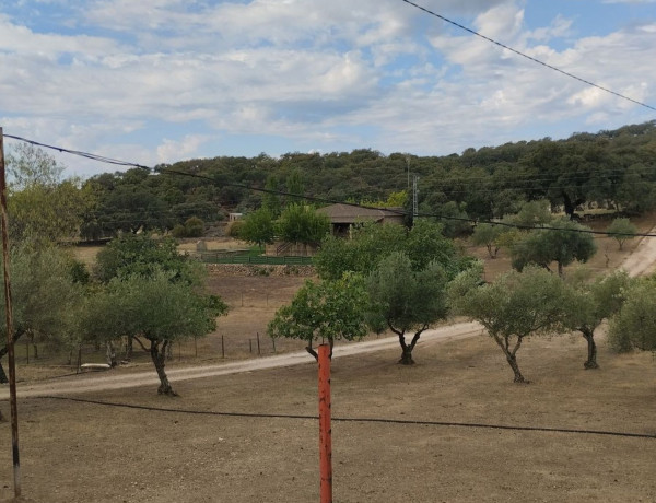 Terreno en venta en carretera de la vega s/n