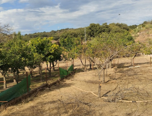 Terreno en venta en carretera de la vega s/n