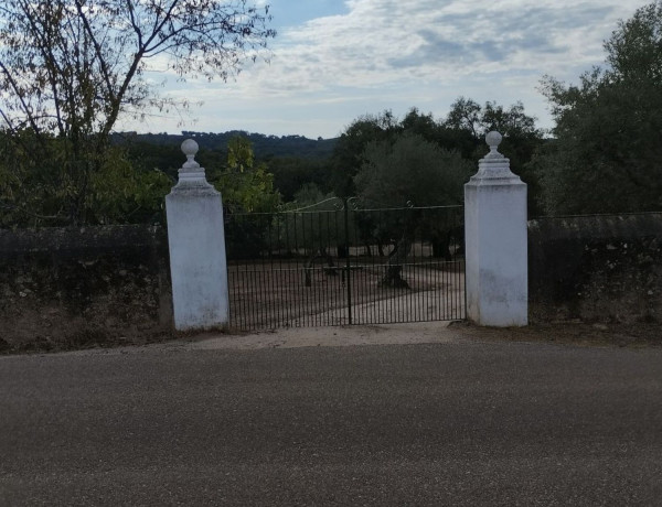 Terreno en venta en carretera de la vega s/n