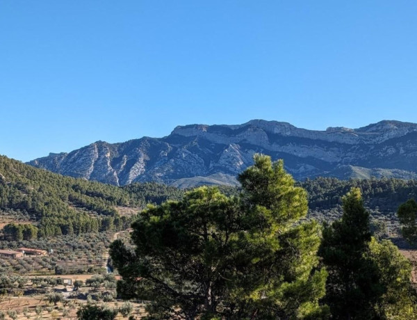 Casa o chalet independiente en venta en Horta de Sant Joan