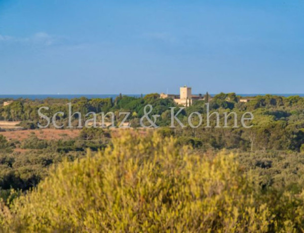 Terreno en venta en Ses Salines (Mallorca)