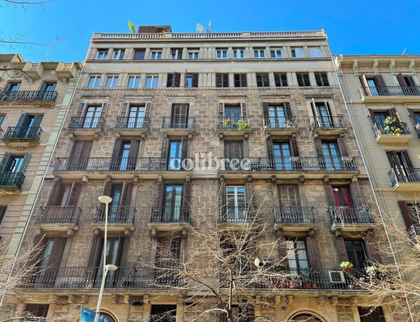 Alquiler de Piso en calle de Balmes