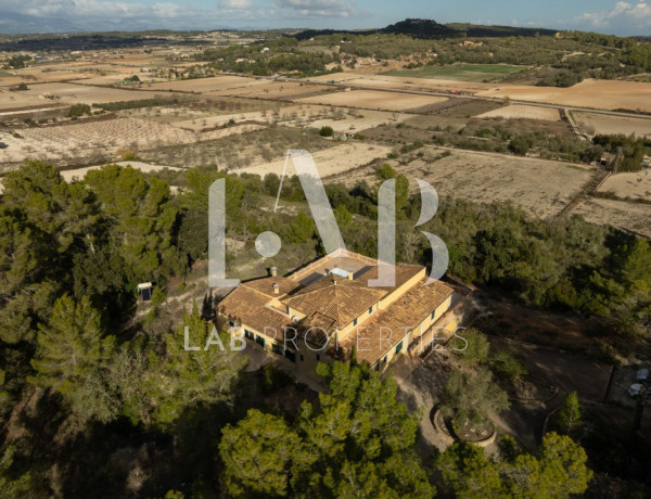 Finca rústica en venta en camino Vial