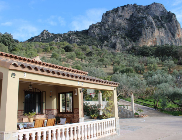 Casa o chalet independiente en venta en El Gastor