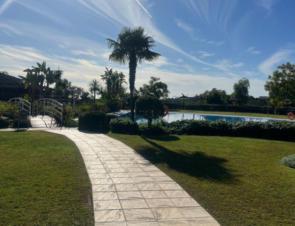 Alquiler de Ático en Parque Botánico Las Lomas de Guadalmina, 32