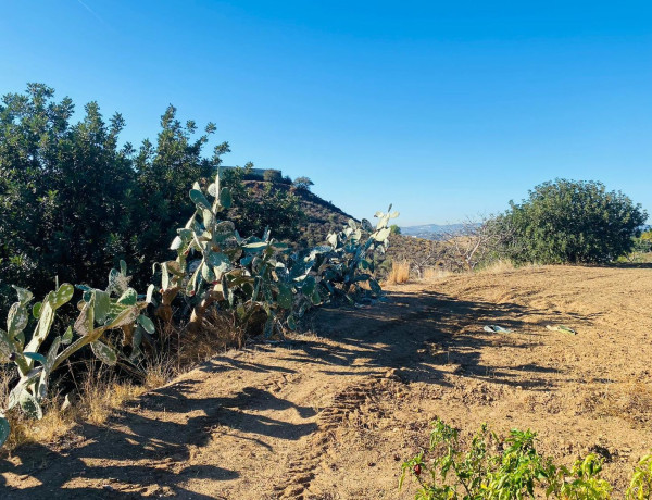 Terreno en venta en Urbanizacion Torreblanca del Sol