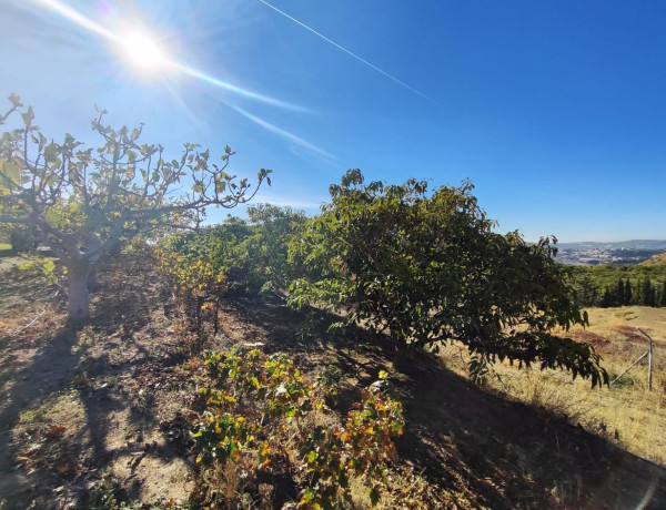 Terreno en venta en Urbanizacion Torreblanca del Sol