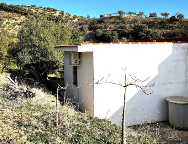 Finca rústica en venta en camino de Casarabonela a Álora