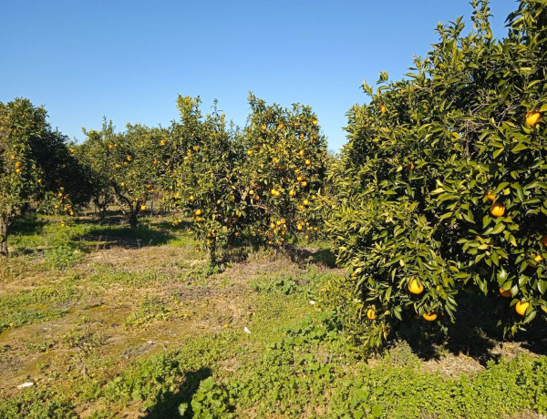 Terreno en venta en Pilas