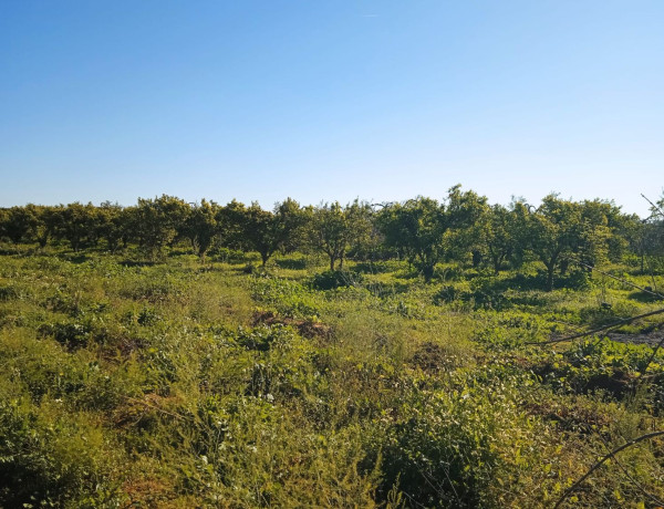 Terreno en venta en Pilas