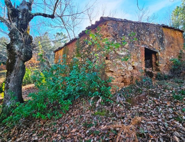 Terreno en venta en Galaroza