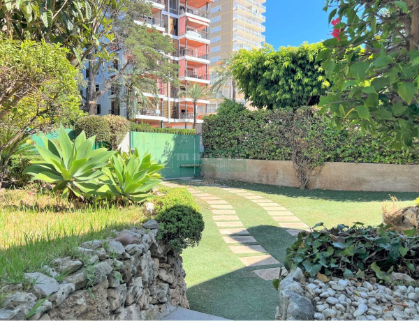 Terreno en venta en avenida Ferrandis Salvador, 123