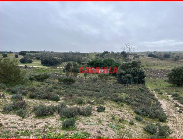 Finca rústica en venta en La Torre de Esteban Hambran