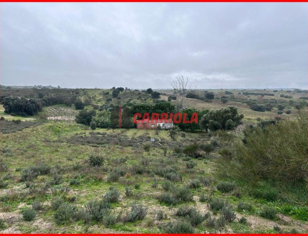 Finca rústica en venta en La Torre de Esteban Hambran