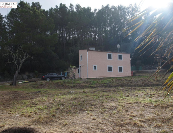 Finca rústica en venta en Llubi