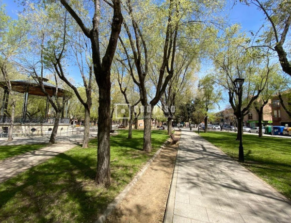 Alquiler de Local en Centro - Ayuntamiento