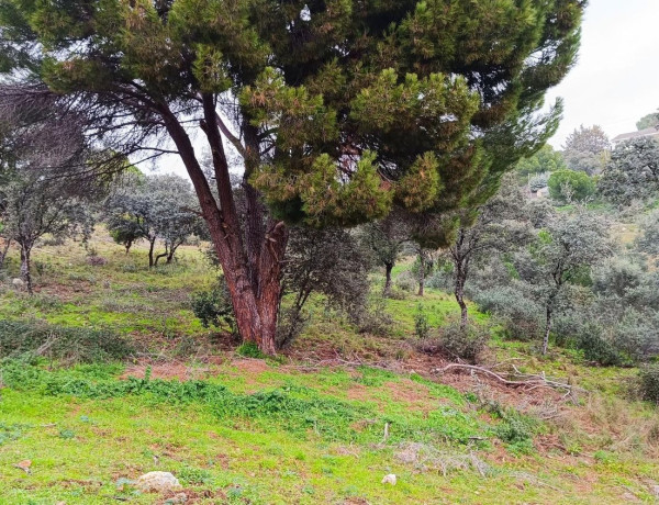 Terreno en venta en Villa del Prado