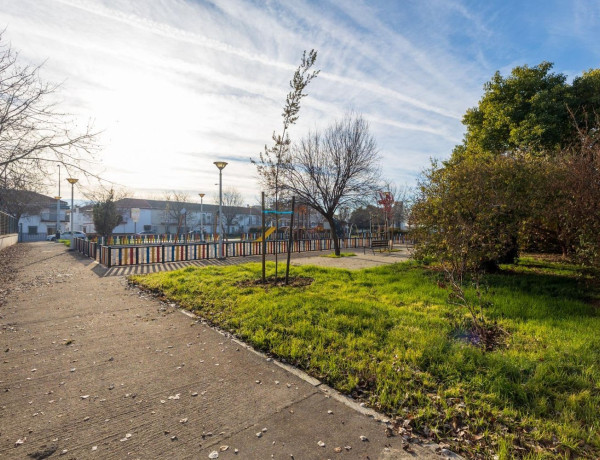 Terreno en venta en La Chana