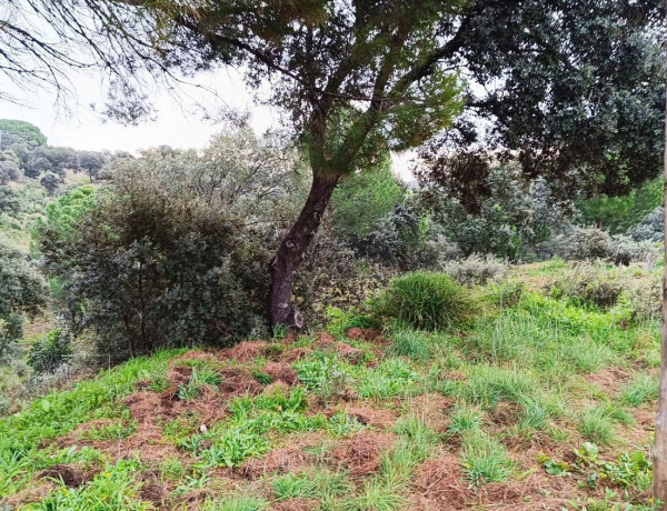 Terreno en venta en Villa del Prado