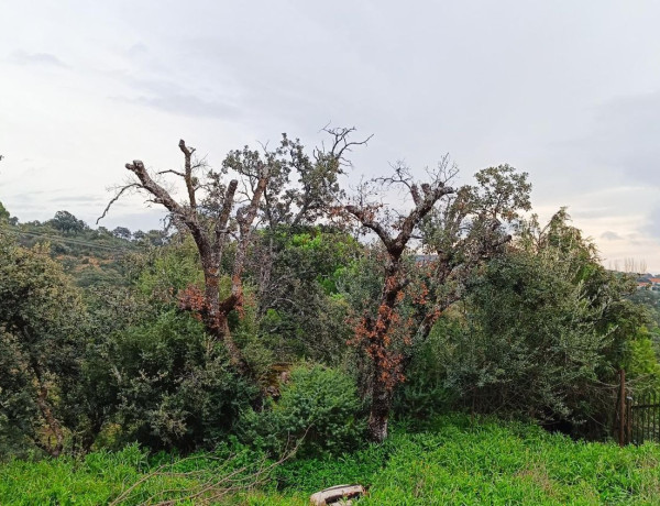 Terreno en venta en Villa del Prado