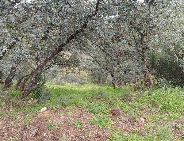 Terreno en venta en Villa del Prado