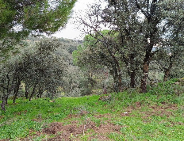 Terreno en venta en Villa del Prado