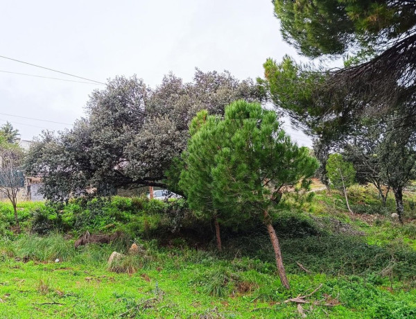 Terreno en venta en Villa del Prado