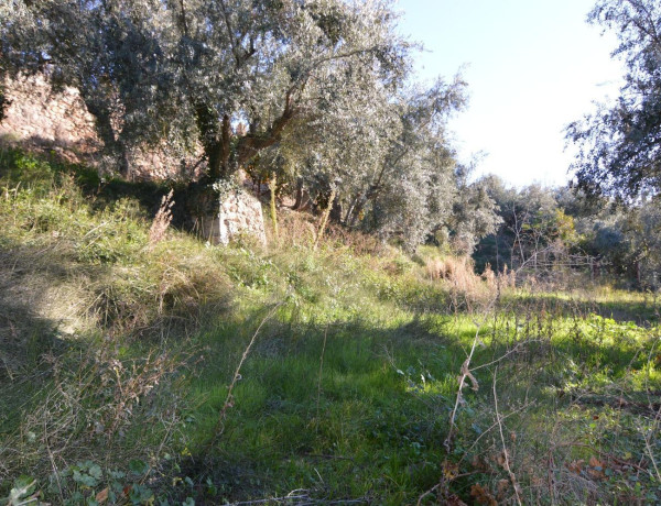 Terreno en venta en calle Carretera