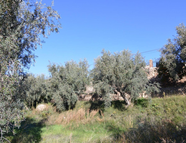 Terreno en venta en calle Carretera