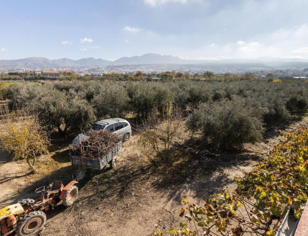 Terreno en venta en La Zubia