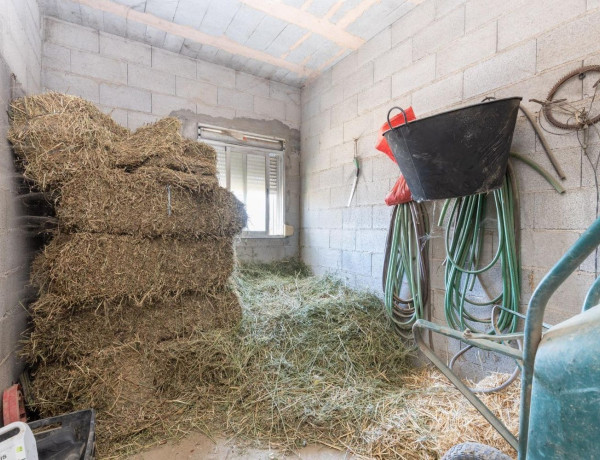 Terreno en venta en La Zubia