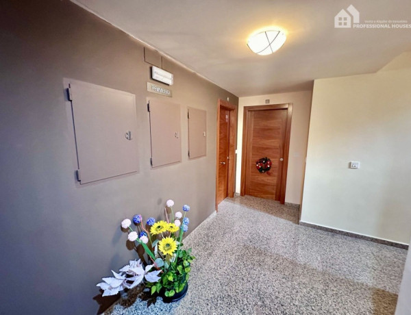 Piso en venta en avenida San Vicente de Paul, 41