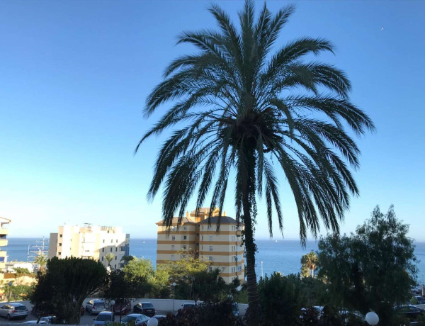 Alquiler de Piso en avenida del Parque