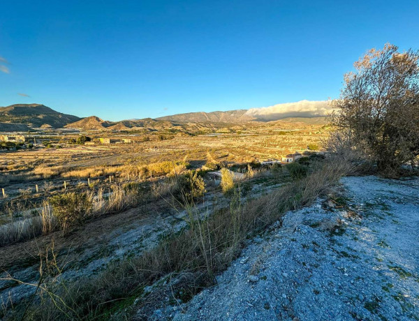 Finca rústica en venta en Motril pueblo